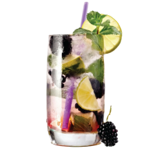Blackberry Mojito [Flavor West]