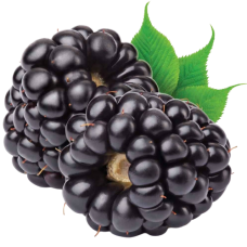 Ароматизатор Flavor West «Blackberry (Natural)»
