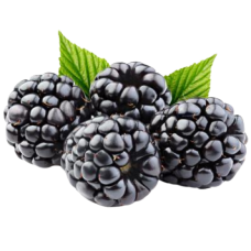 Ароматизатор Flavor West «Blackberry»